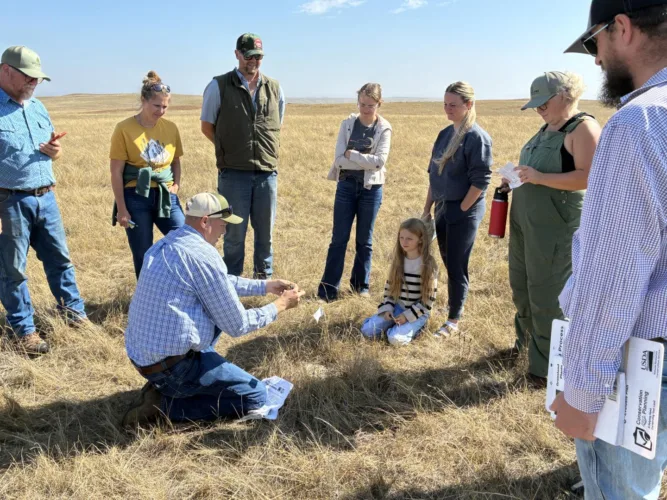 AGRICULTURE NEWS